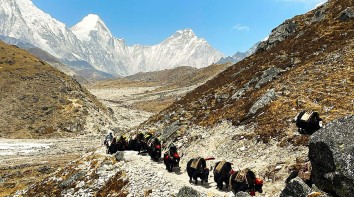 Everest Region Trek